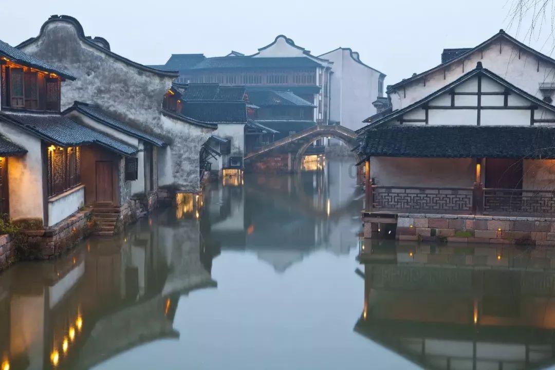 拯救小松鼠